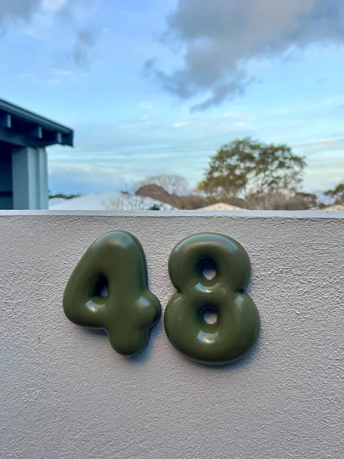 PETG House Numbers